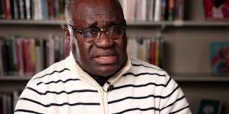 Italian Mafiosos Take Over Illegal Hold Trade in Ghana - Prof Kwesi Aning