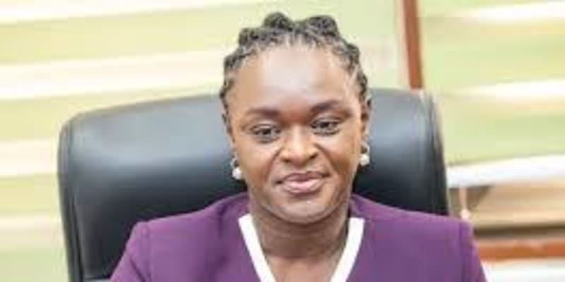 We had Military and National Security with us, but we were chased by ‘Macho Men’ Galamseyers - EPA Boss