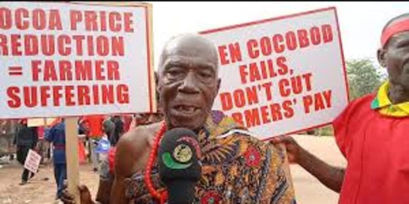 So where is the Cocobod CEO? — Cocoa farmers continue to protest against the haircut