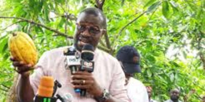 Minority engages disgruntled cocoa farmers in Ahafo region