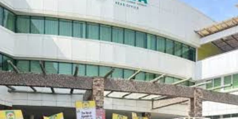 DVLA warns of arrests over fake, expired DV and DP plates from May 4