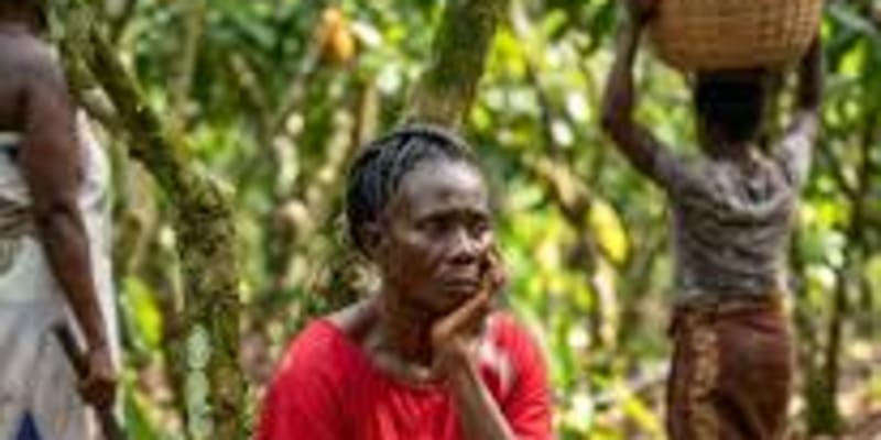 Cocoa Farmers not paid Since January