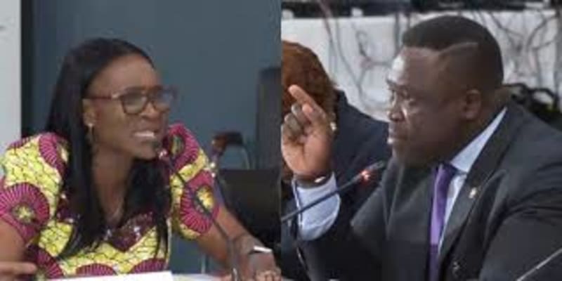 Netizens Blast Sam George Over Misbehavior At PAC Hearing