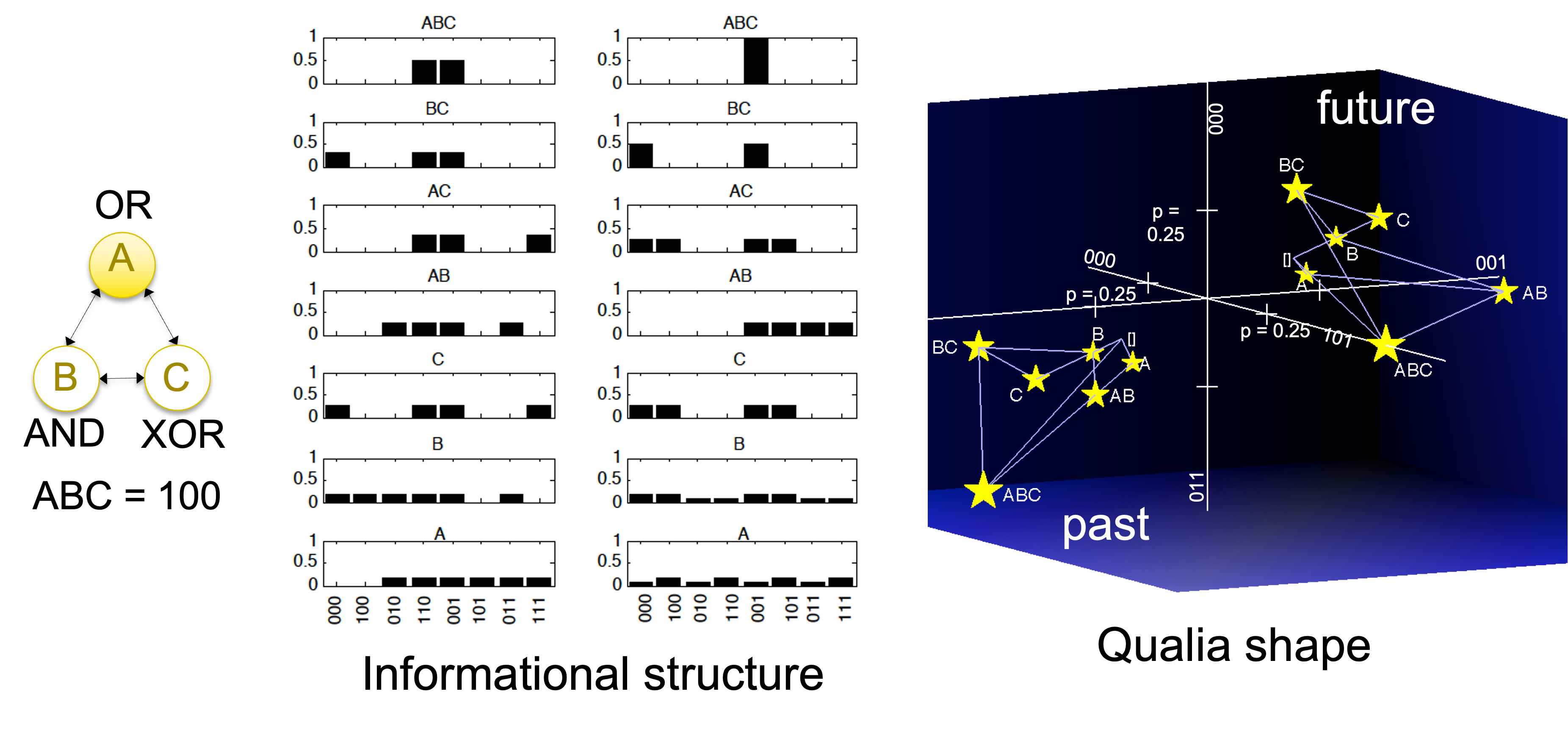 Integrated Information Theory (IIT) image 1