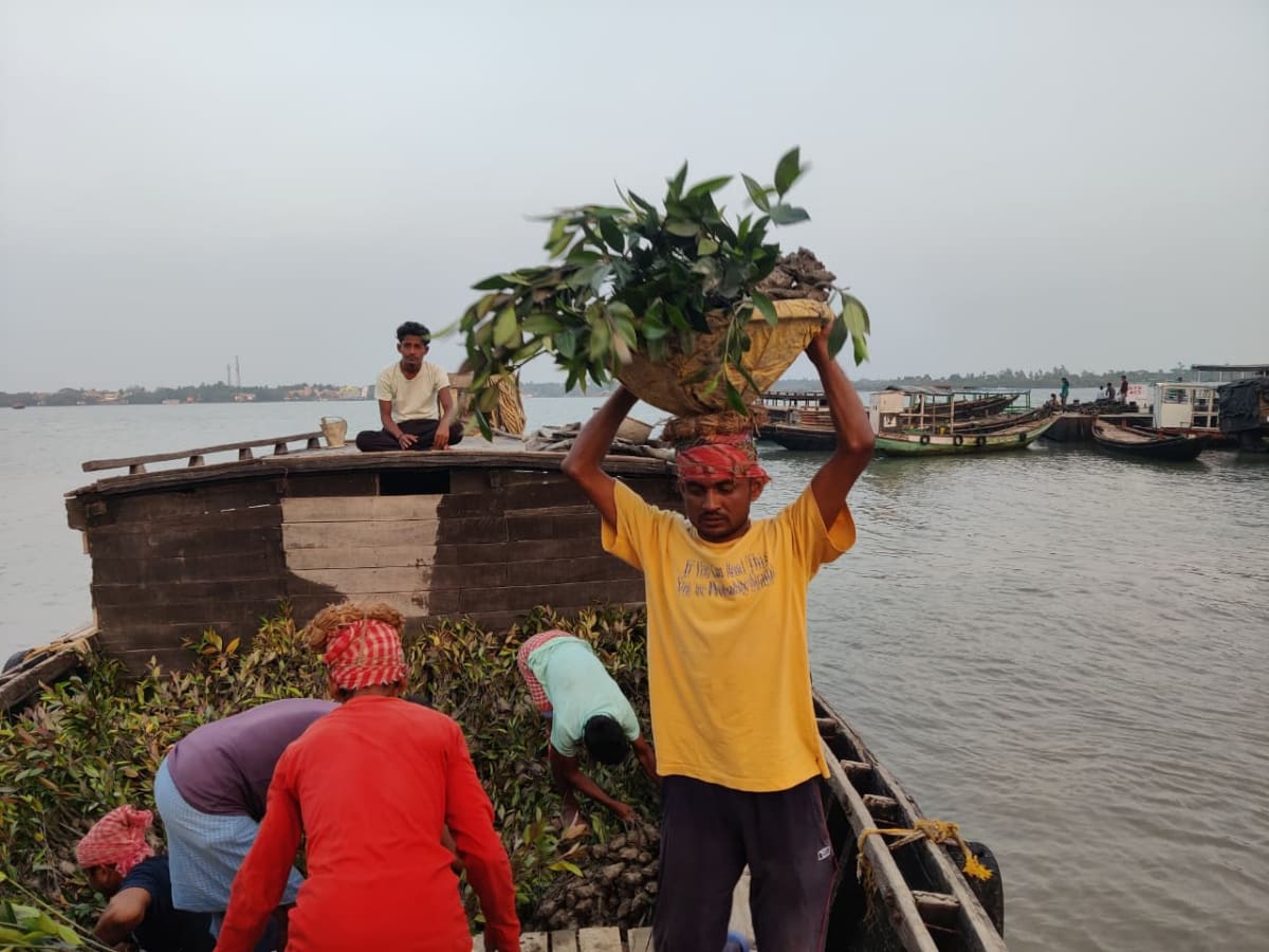 Environmental CSR implementation partner coordinating field execution and sapling logistics at a restoration site