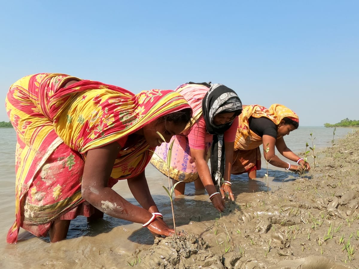 Community members restoring a degraded coastal site as part of an ecosystem restoration CSR project