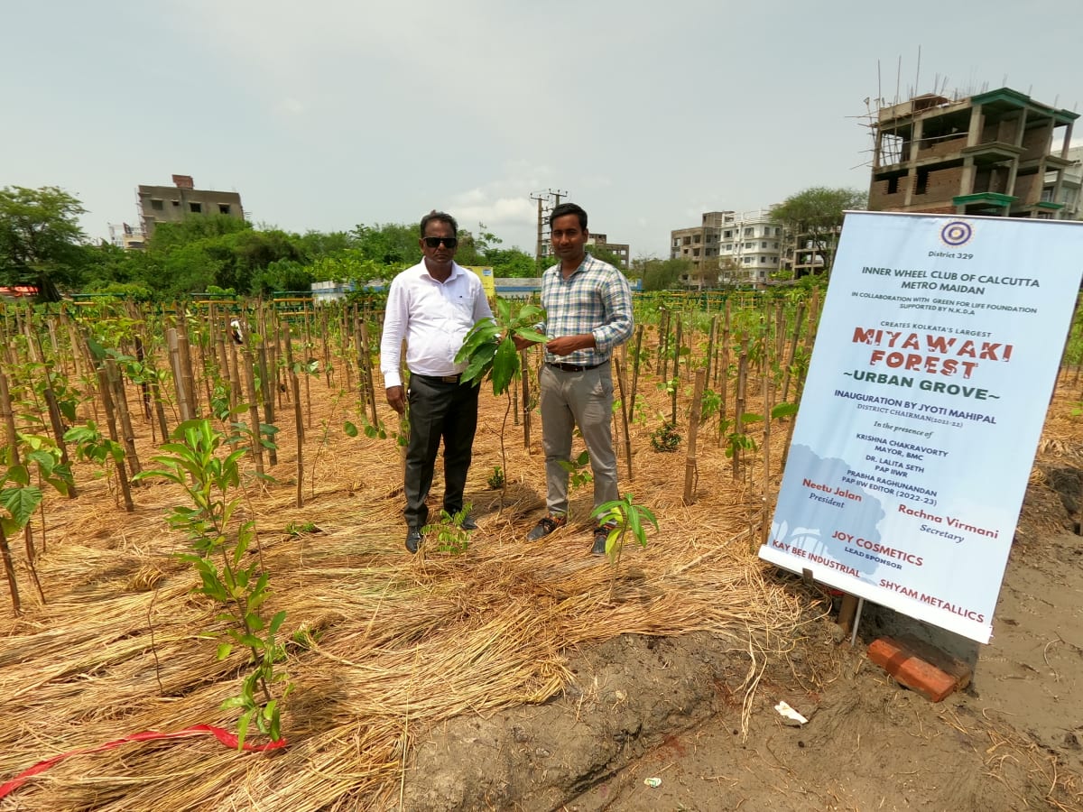 Miyawaki forest, mangrove restoration and agroforestry CSR project models in India