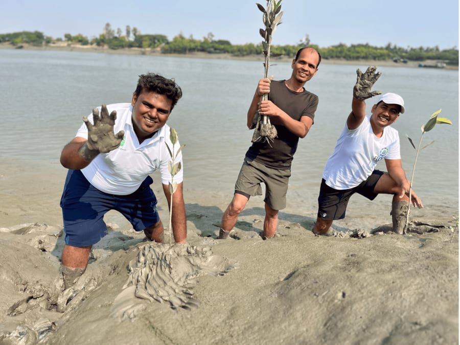Mangrove reforestation and coastal ecosystem work