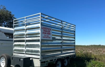 12x7 Livestock trailer  — Kalkie trailer hire