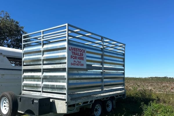 12x7 Livestock trailer 