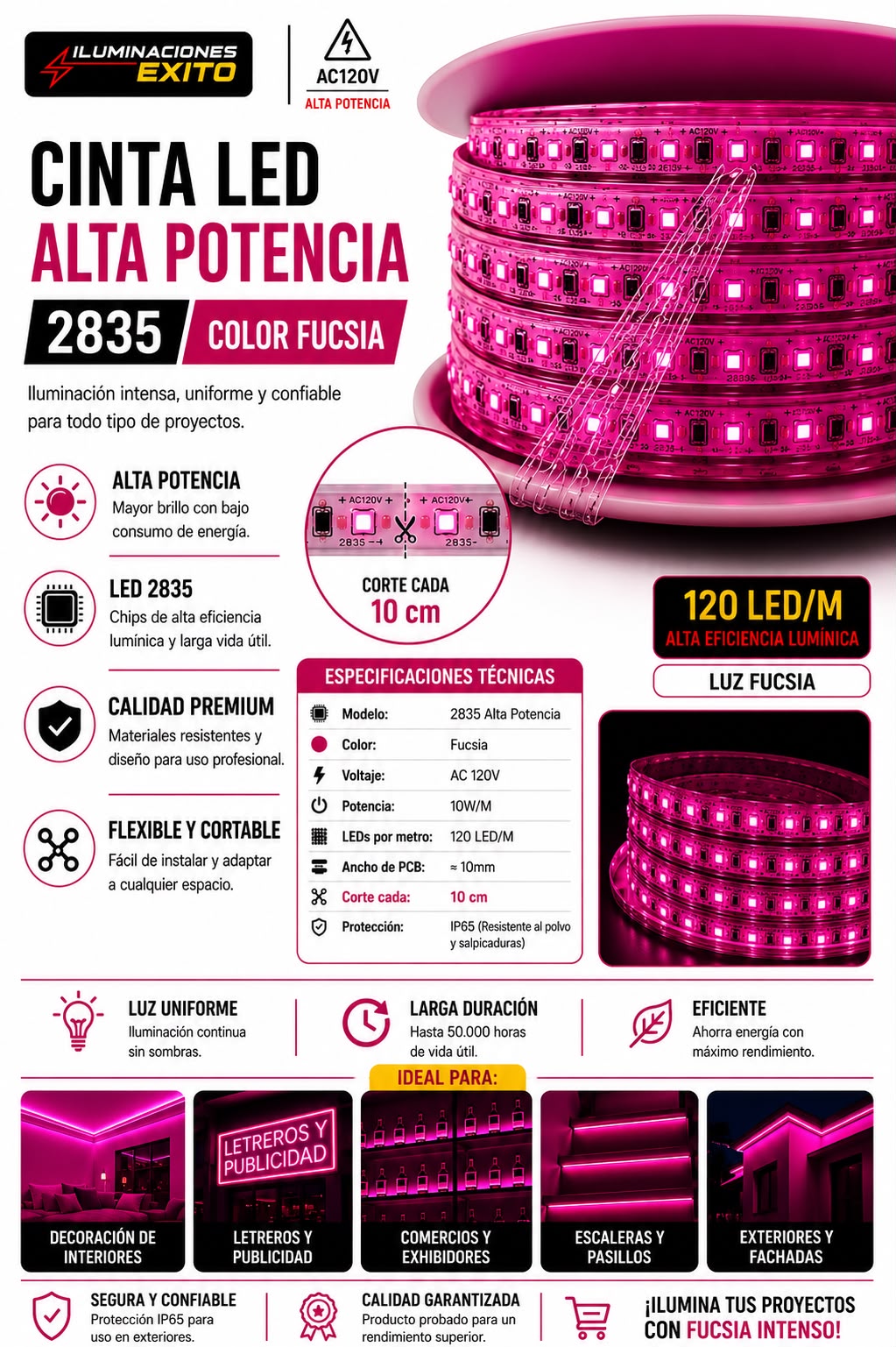 CINTA LED 2835 FUCSIA 110V