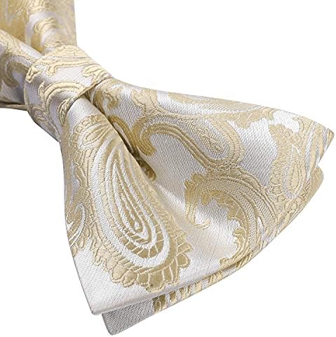 Vue 5 de Noeud Papillon Pour Homme