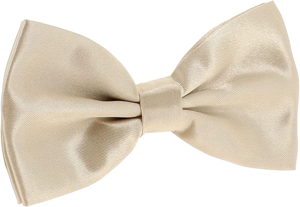 Noeud Papillon Homme Couleur