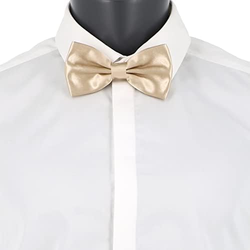 Vue 2 de Noeud Papillon Homme Couleur