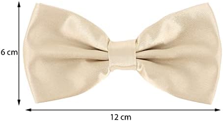 Vue 3 de Noeud Papillon Homme Couleur