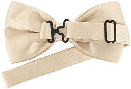 Vue 4 de Noeud Papillon Homme Couleur