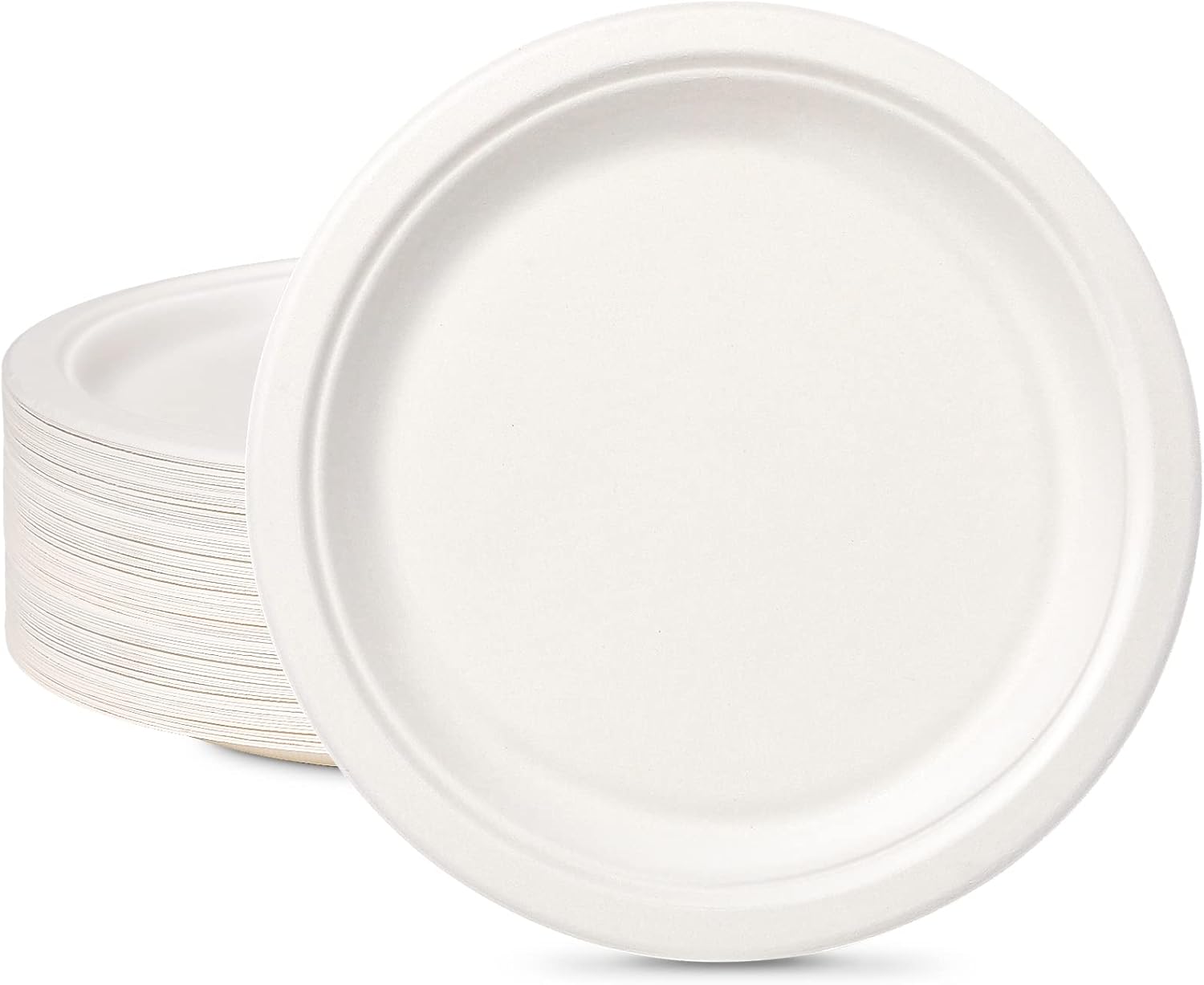 Lot De Assiettes Jetables