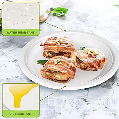 Vue 3 de Lot De Assiettes Jetables