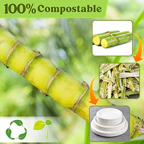 Vue 4 de Lot De Assiettes Jetables