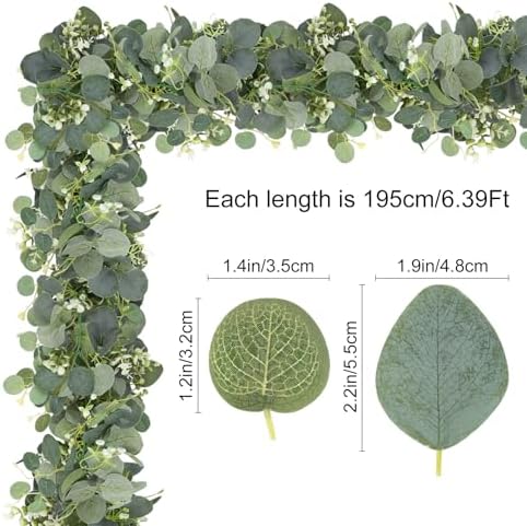 Vue 2 de Pieces Decorations Deucalyptus De