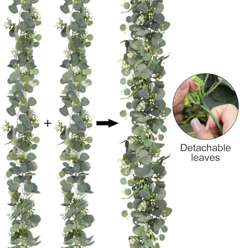 Vue 3 de Pieces Decorations Deucalyptus De