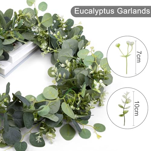 Vue 4 de Pieces Decorations Deucalyptus De