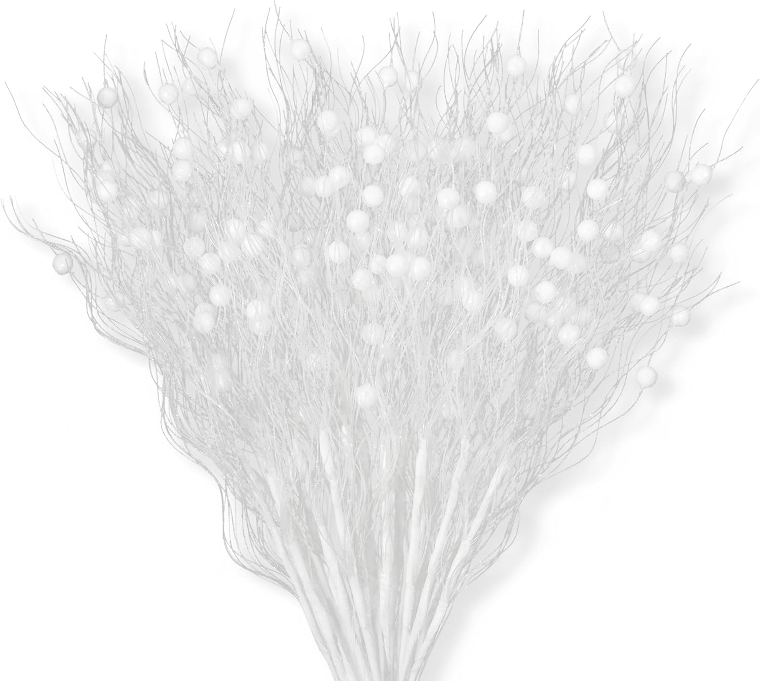 Branches Decoratives Blanches De
