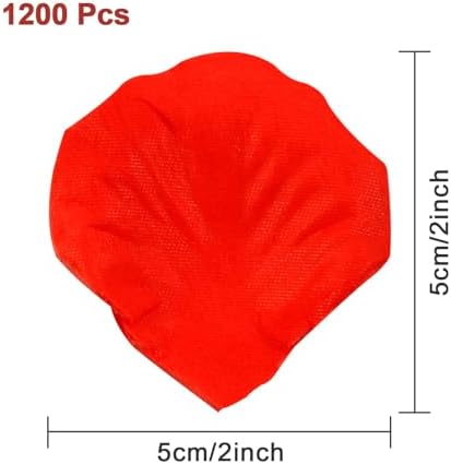 Vue 2 de Redamancy Pieces Petales De