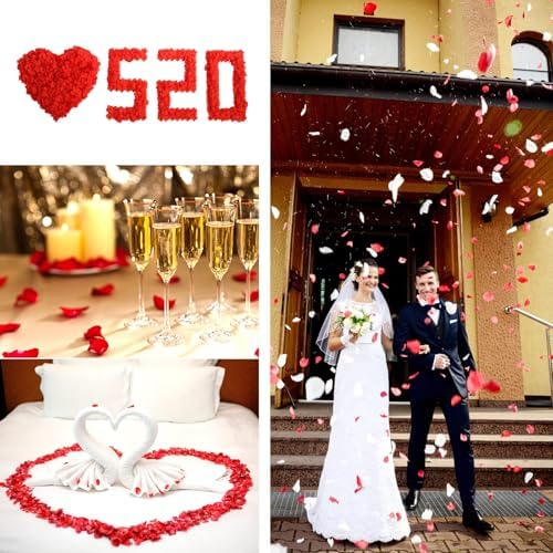 Vue 5 de Redamancy Pieces Petales De