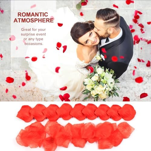 Vue 6 de Redamancy Pieces Petales De