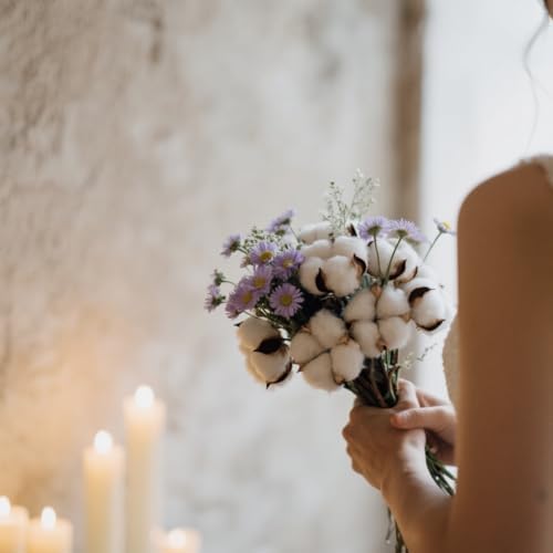 Vue 2 de Fleurs De Coton Sechees