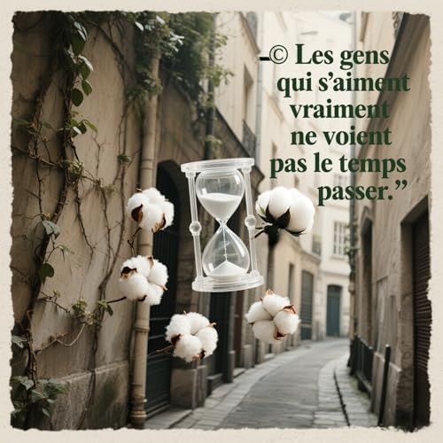 Vue 5 de Fleurs De Coton Sechees