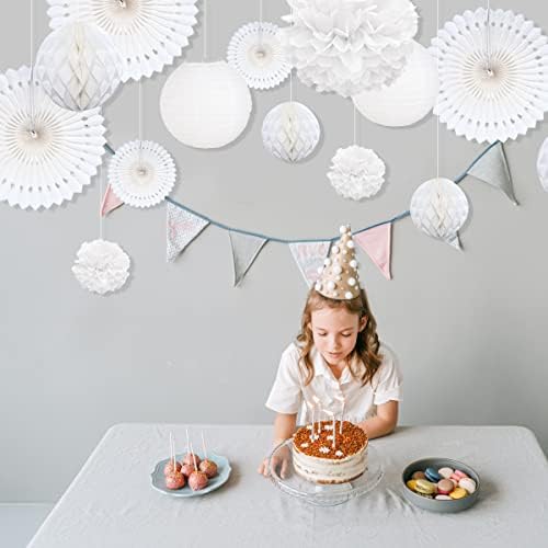 Vue 4 de Pompom Papier De Soielampion