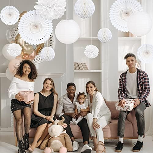 Vue 6 de Pompom Papier De Soielampion