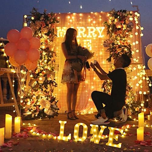 Vue 2 de Love Enseigne Lumineuse