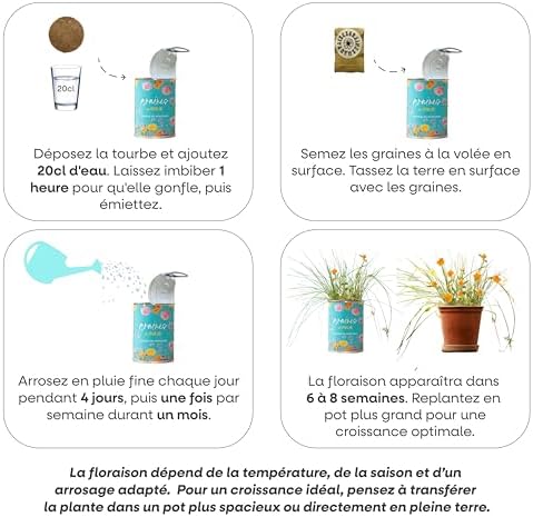 Vue 6 de Mauvaises Graines Cadeau Anniversaire