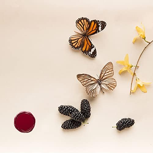 Vue 6 de Cire Cacheter Octogonale