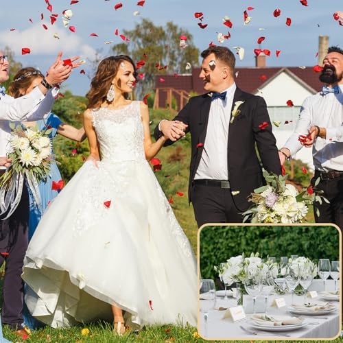 Vue 5 de Pieces Marque Place Porte