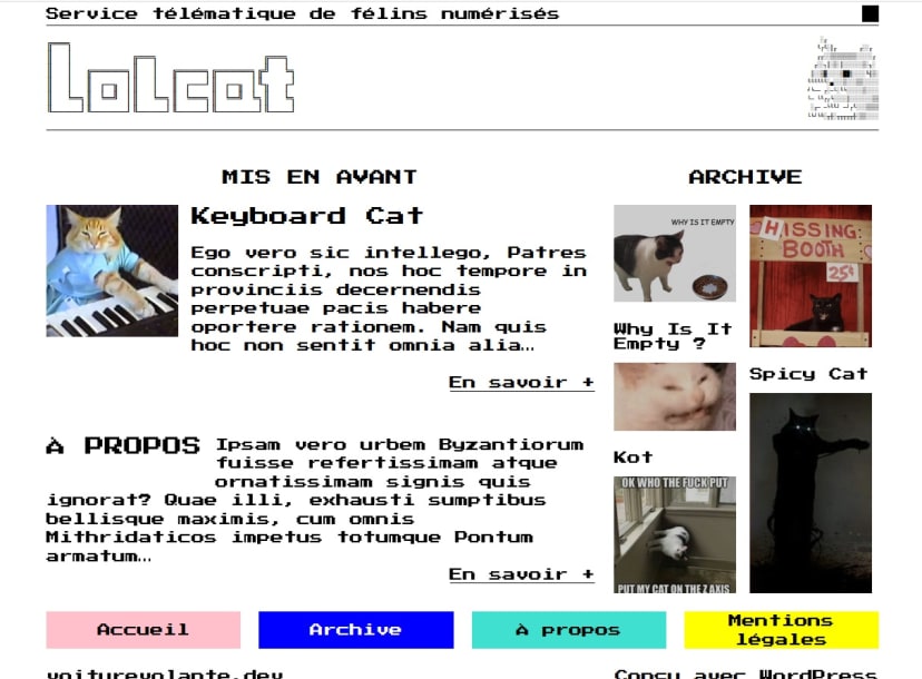 Vue du site web