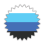 transmasc flag