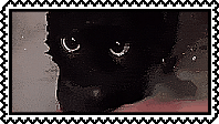 black cat stamp