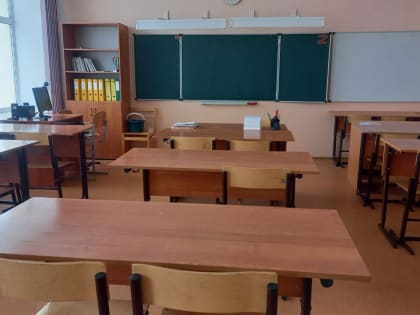 Удалённое обучение в Оренбурге из-за вспышки ОРВИ