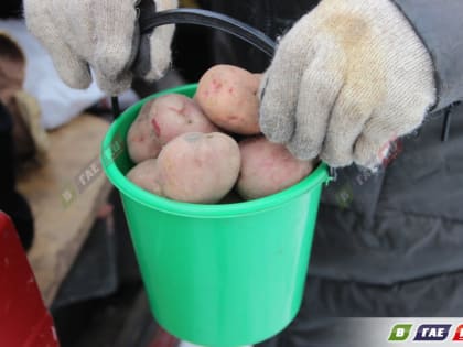 Картофель на базаре подорожал