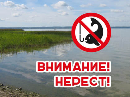 На Ириклинском водохранилище задержали браконьера. Ему грозит до 2 лет лишения свободы
