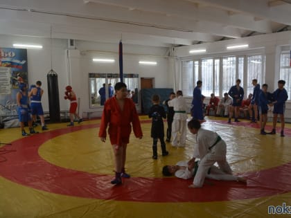 В Новотроицке состоялось открытие центра смешанных единоборств «Ратник»