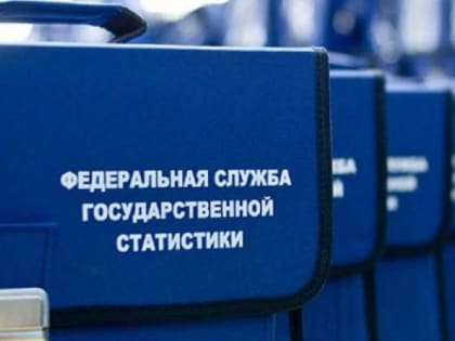 Выборочные наблюдения органов государственной статистики
