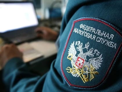 С 2025 года налоговые органы рассматривают жалобы в упрощенном порядке
