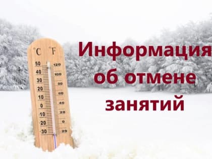 Информация об отмене занятий в Новотроицке на 15 января