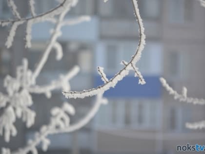 Прогноз погоды на 8 января