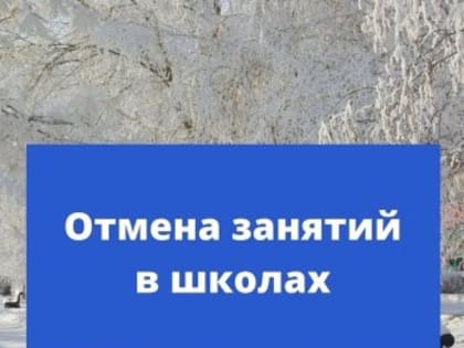 Отмена занятий в школах 15.01.2024